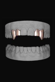2 x Vampire Canine & Lateral - Image 3