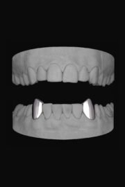 Vampire Canines (Lower)