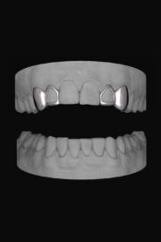 2 x Canine & Window Lateral