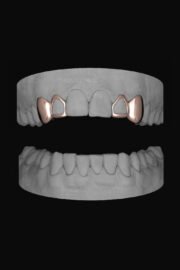 2 x Canine & Window Lateral - Image 3