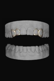 2 x Window Canine & Window Lateral - Image 2