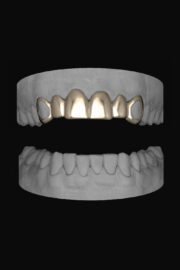 6 Set Window Canines - Image 2