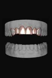 6 Set Window Canines - Image 3