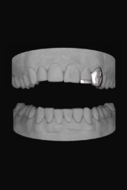 Bolt Canine & Bar