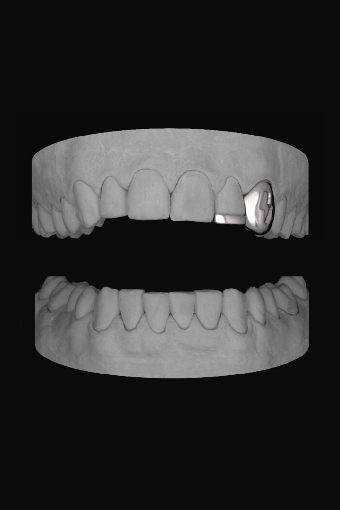 Bolt Canine & Bar - Image 1