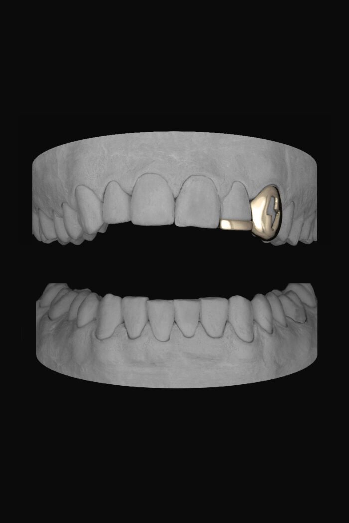 Bolt Canine & Bar - Image 2