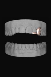 Bolt Canine & Bar - Image 3