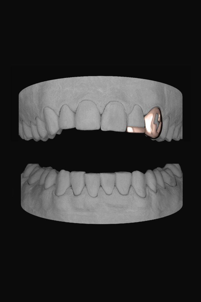 Bolt Canine & Bar - Image 3