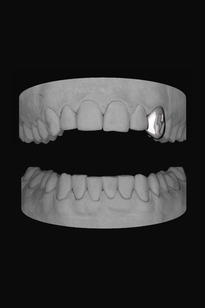 Bolt Canine - Image 1