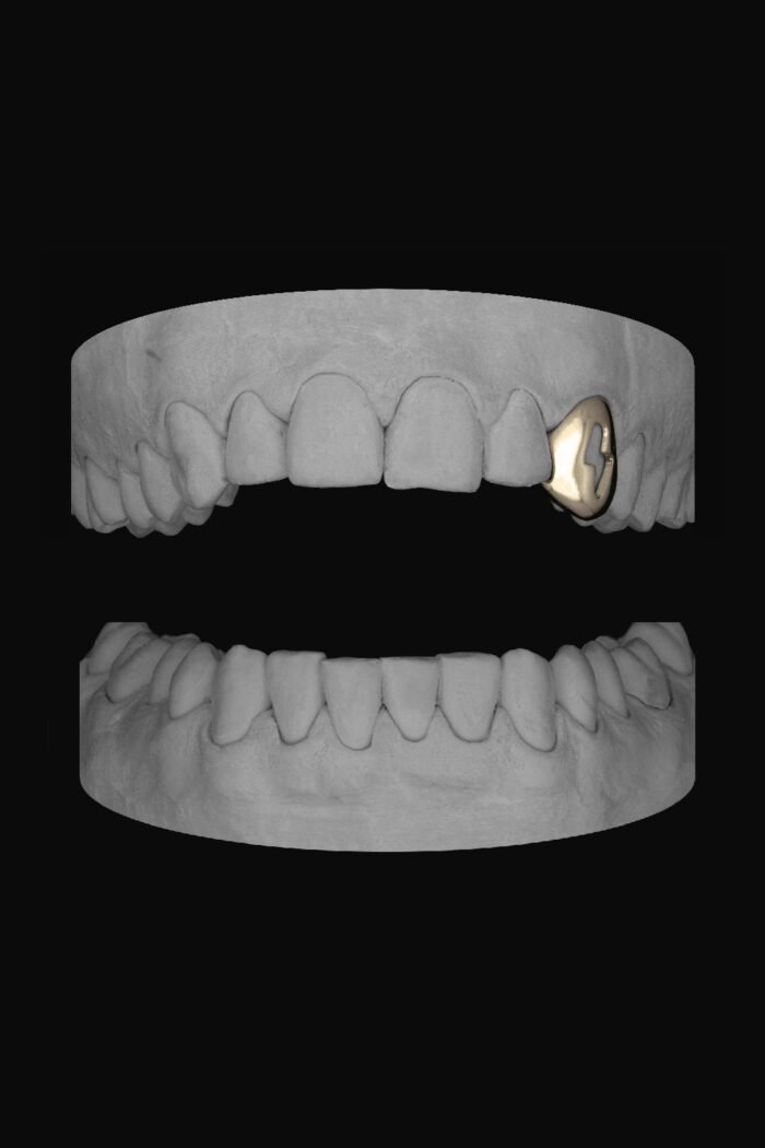 Bolt Canine - Image 2