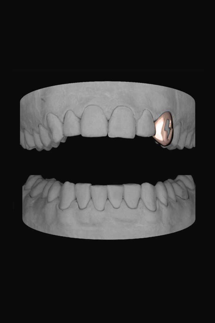 Bolt Canine - Image 3